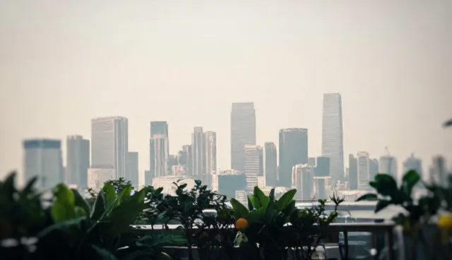 项目管理:成果转化应用的关键路径分析